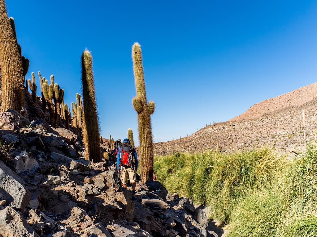 מלון סן פדרו דה אטקאמה Noi Casa Atacama מראה חיצוני תמונה